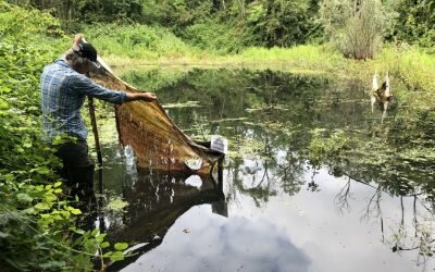 VARTWEEK SEGNALA: VITA DELL’ACQUA UN INCONTRO CON FLUMINA